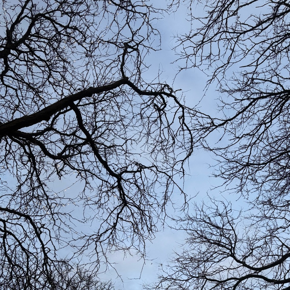 Meet your Posher, Fern